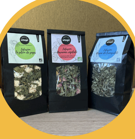 Trio de tisanes bio