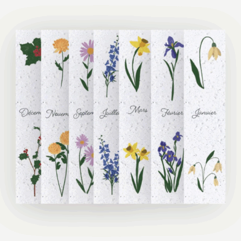 Calendrier marque-pages Fleur de naissance 2026
