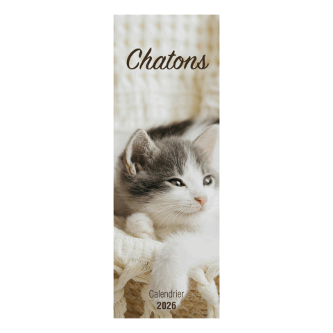 Calendrier long chatons – 2026