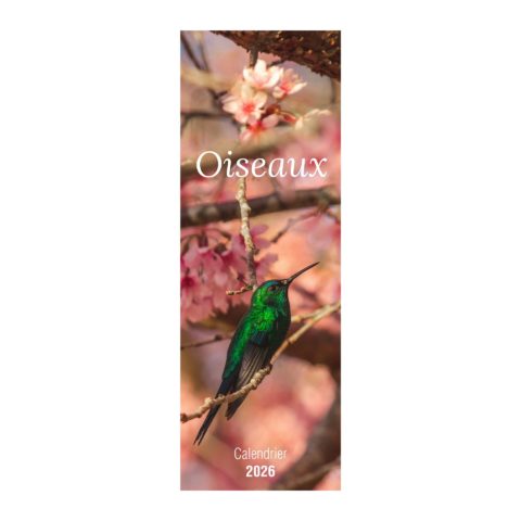 Calendrier long Oiseaux – 2026
