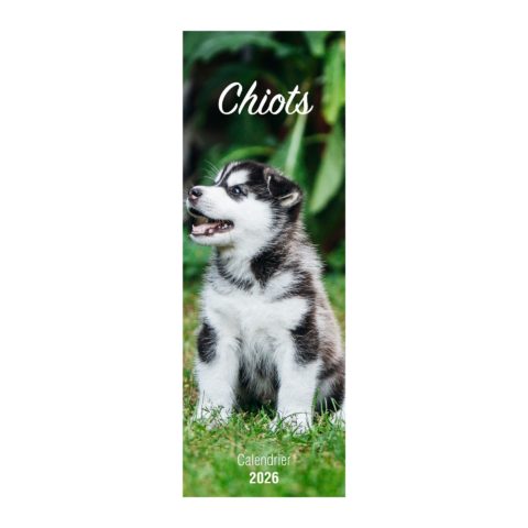 Calendriers long Chiots - 2026
