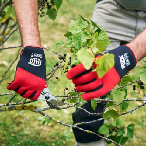 Gants de jardinage